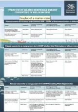 Marine Licence Determination: infographic | GOV.WALES